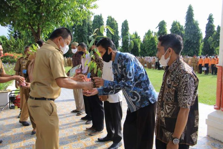 Bupati Andi Utta Serahkan 7.620 Bibit Unggul Durian Musangking