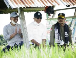 Mentan SYL Tantang Kapolres Tangkap Distributor Pupuk ‘Nakal’ Bulukumba