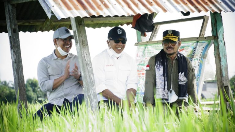 Mentan SYL Tantang Kapolres Tangkap Distributor Pupuk ‘Nakal’ Bulukumba