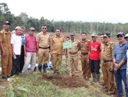 Andi Utta Buat Kebun Percontohan Bibit Unggul di Desa Tibona Bulukumba