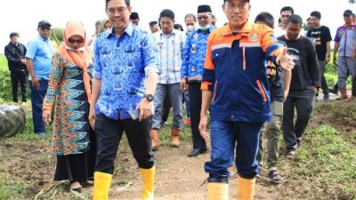 Bulukumba Jadi Daerah Pemasok Ternak Sapi, Wabup Lepas 46 Sapi Qurban ke Kalimantan