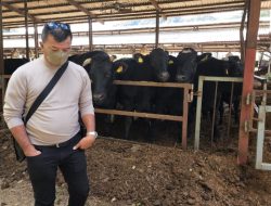 Bupati Andi Utta Kunjungi Peternakan Sapi Terbaik di Jepang dan Perkenalkan Produk Kopi Kahayya