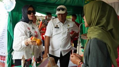 Pameran UMKM Meriahkan Hari Jadi Kabupaten Bulukumba