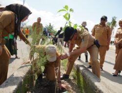 Peringati Hari Lingkungan Hidup, DLHK Tanam Pohon di Pantai Merpati
