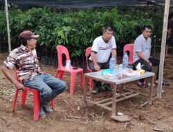 Bupati Bulukumba, Andi Muchtar Ali Yusuf Pilih Berkebun di Hari Libur