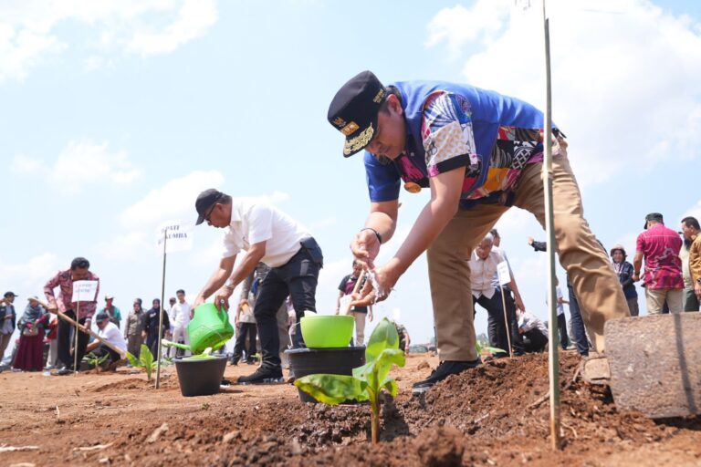 Pj Gubernur Sulsel dan Pj Bupati Sinjai Tanam Pisang di Lahan 20 Hektar Milik Bupati Bulukumba di Sinjai