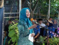 TP-PKK Bulukumba Canangkan Gerakan Menanam Lombok Nikmati Hasilnya (GEMOIH)