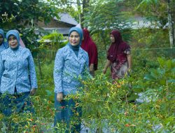 GEMOIH Bulukumba Lolos COPSI Award 2025, Inovasi PKK Tembus Kompetisi Internasional