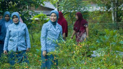 GEMOIH Bulukumba Lolos COPSI Award 2025, Inovasi PKK Tembus Kompetisi Internasional
