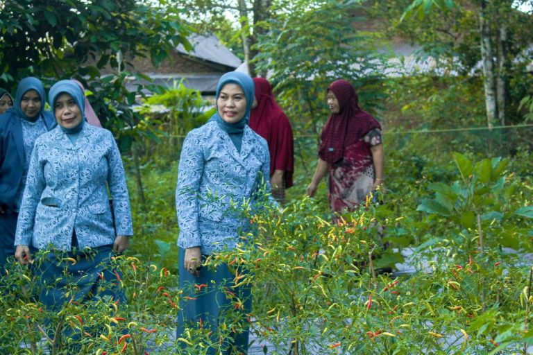 GEMOIH Bulukumba Lolos COPSI Award 2025, Inovasi PKK Tembus Kompetisi Internasional